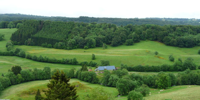 Plateau de l'Artense