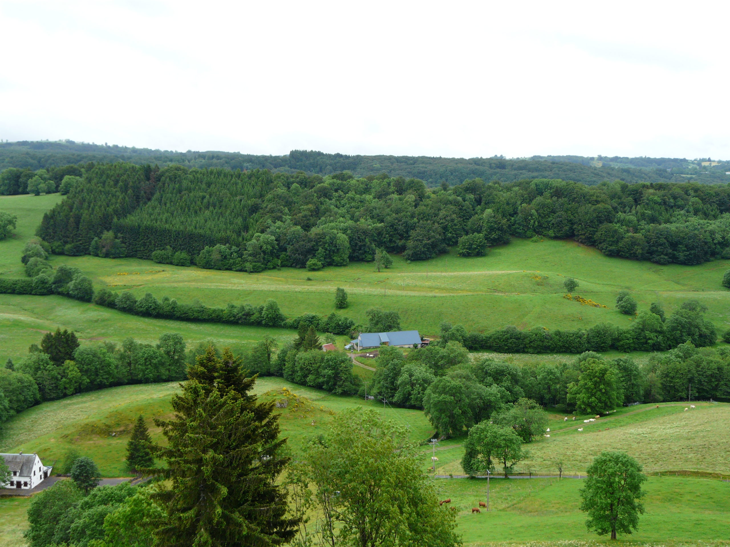 Le plateau de l'Artense en CampingCar AuvergneRhôneAlpes