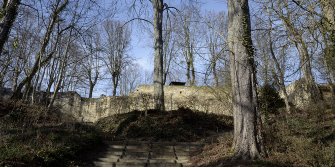 Château de Montrond