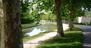 Le canal de Berry à Saint-Amand-Montrond