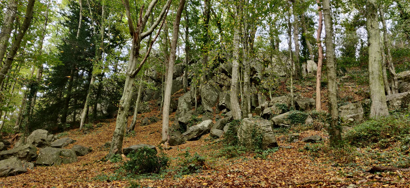 Nomade pas qu'une façon de vivre mais un état d'esprit