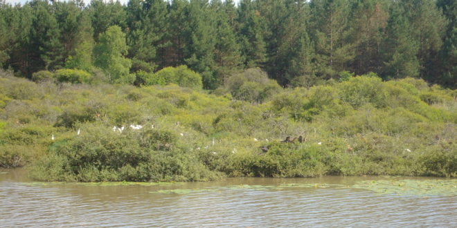 Parc naturel régional de la Brenne