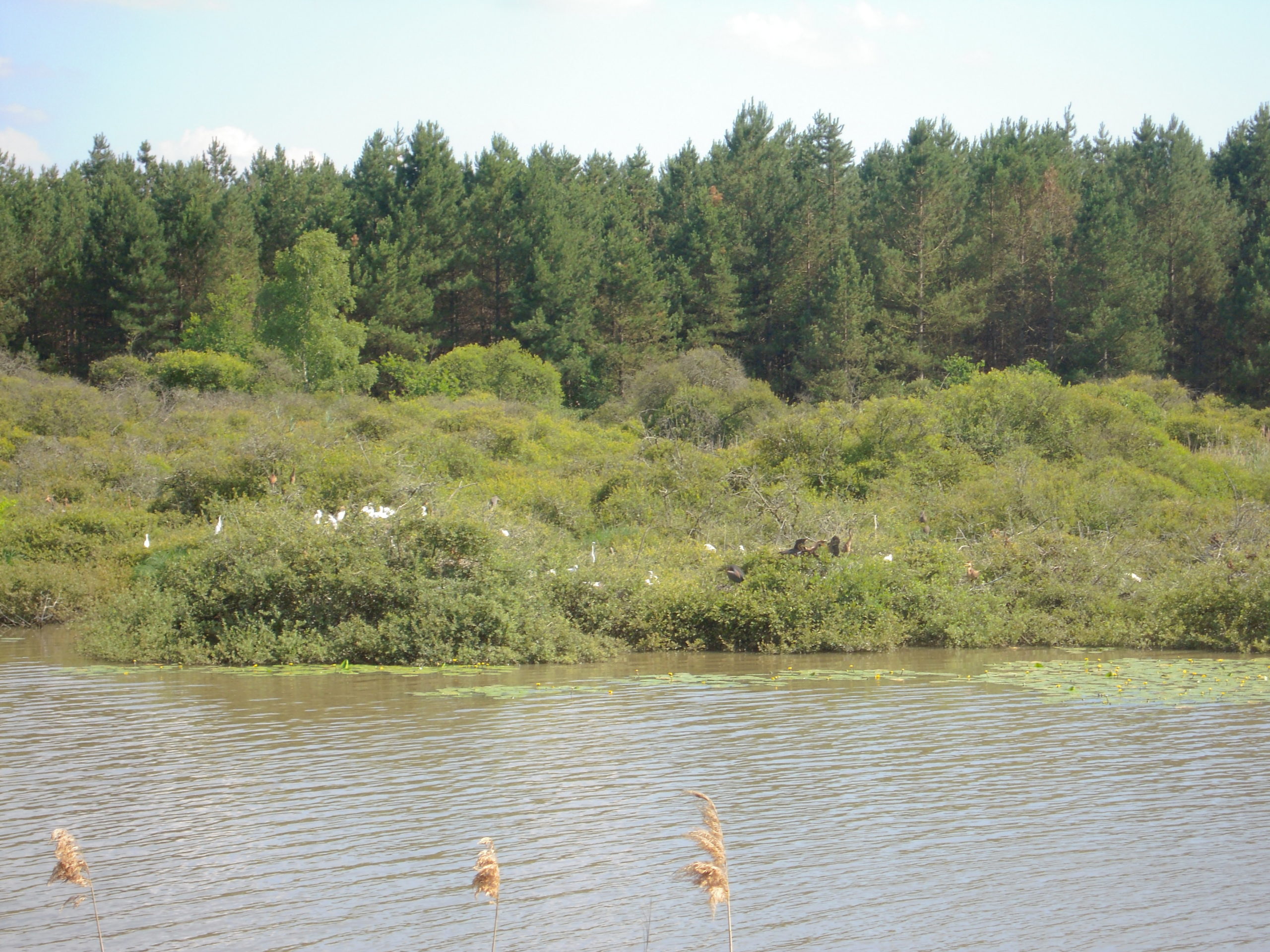 Parc naturel régional de la Brenne