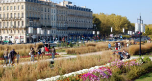 Jardins des Lumières à Bordeaux