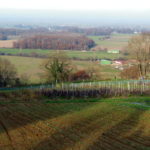 Coteaux de la Chalosse