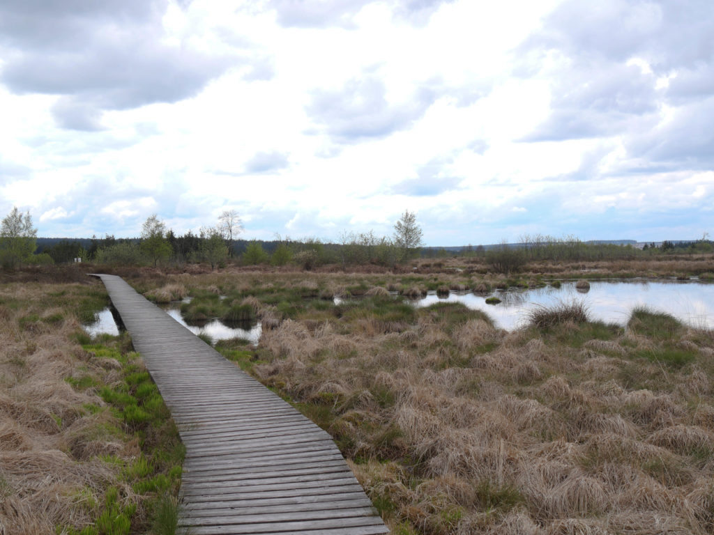 Les Hautes Fagnes