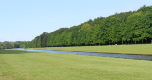 Arboretum de Tervuren