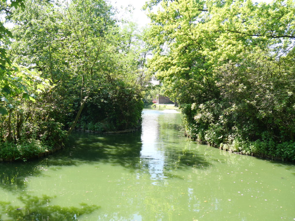 Le Olmenhof à Herck-la-ville