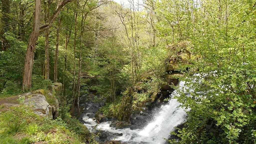 Gorges de Narvau près de le Lormes