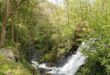 Gorges de Narvau près de le Lormes