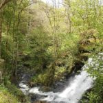 Gorges de Narvau près de le Lormes