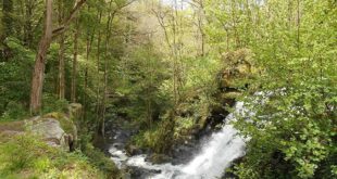 Gorges de Narvau près de le Lormes