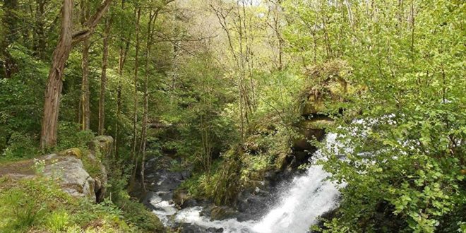 Gorges de Narvau près de le Lormes