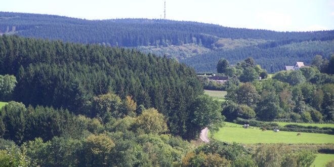 Vue du Haut-Folin depuis le théâtre gallo-romain des Bardiaux.