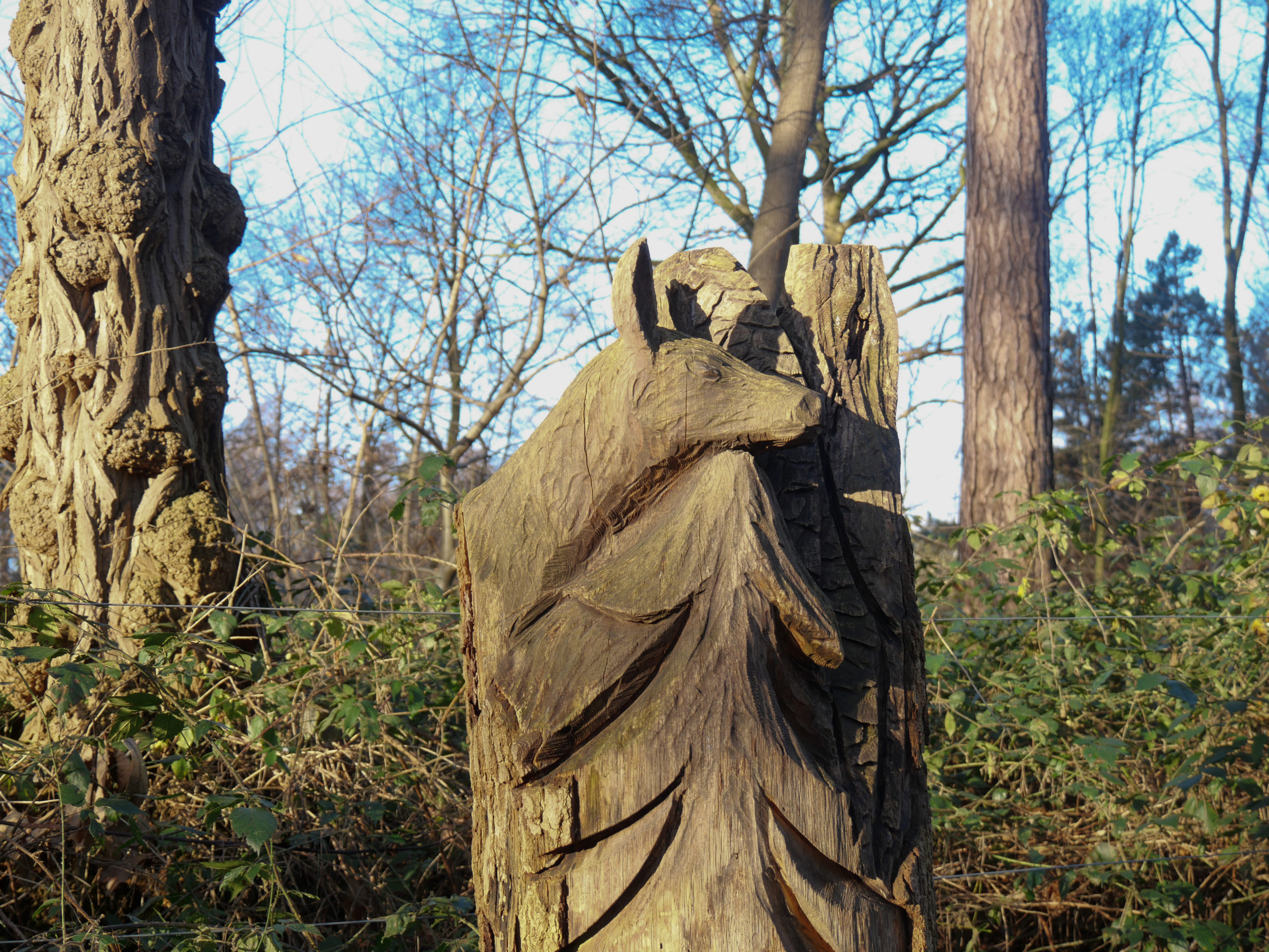 L'arboretum de Koekelare en CampingCar Flandre