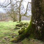 La campagne autour d'Ambleside