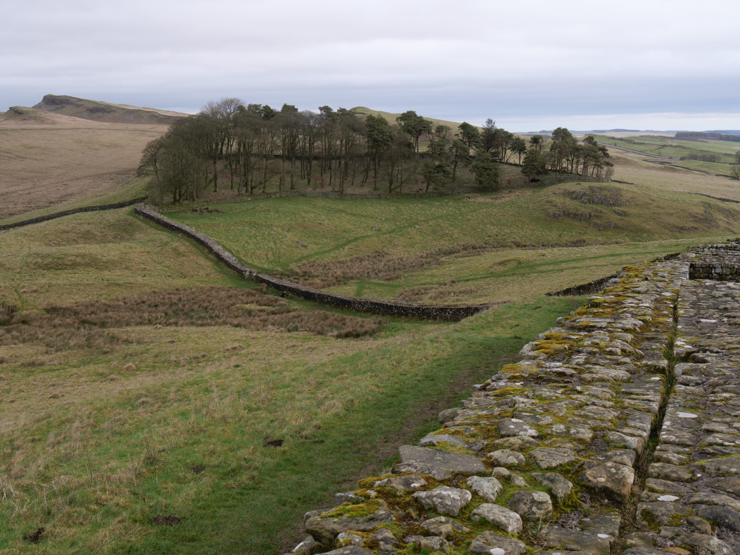 Fort romain de Housesteads