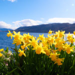 Ullapool