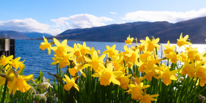 Ullapool