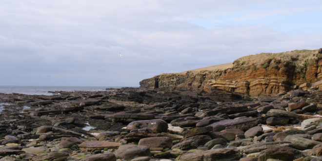 Les Orcades