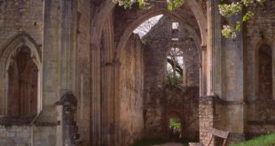 L'Abbaye Sainte-Marguerite de Bouilland
