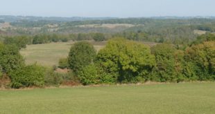 Bocage breton
