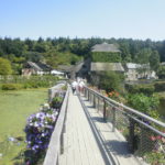 La passerelle sur l'Aff à La Gacilly