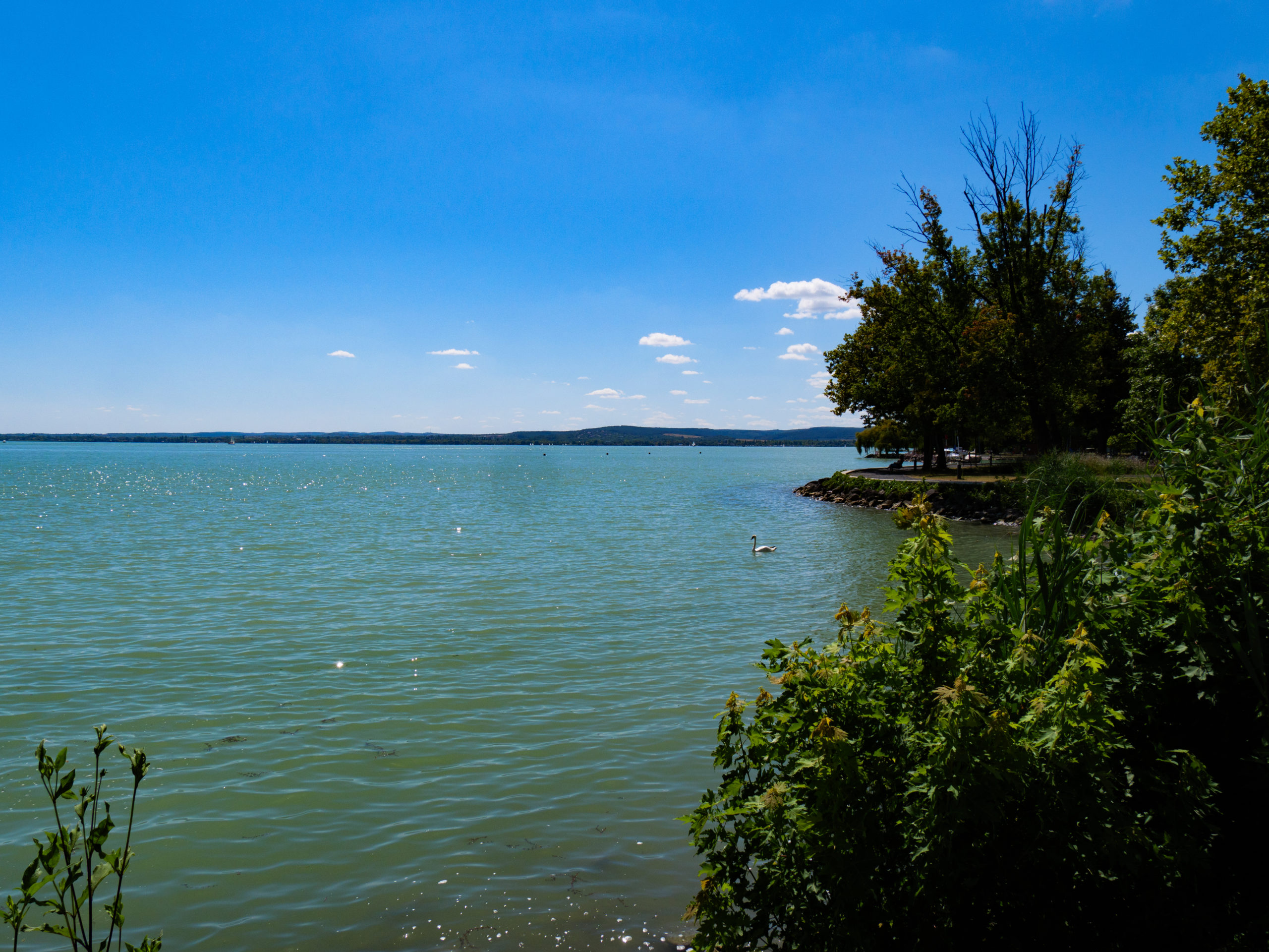 Lac Balaton