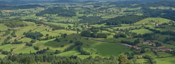 Les collines du Charolais