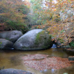 Forêt de Huelgoat