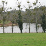 Etang de Pen Mur à Muzillac