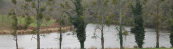 Etang de Pen Mur à Muzillac