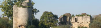 Les ruines du château de Machecoul.
