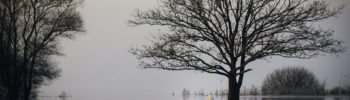 Le Lac de Grand-Lieu en hivers
