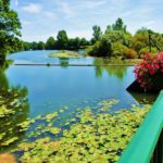 Scey-sur-Saône-et-Saint-Albin