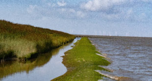 L'estuaire de l'Ems près de Ditzum