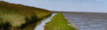 L'estuaire de l'Ems près de Ditzum