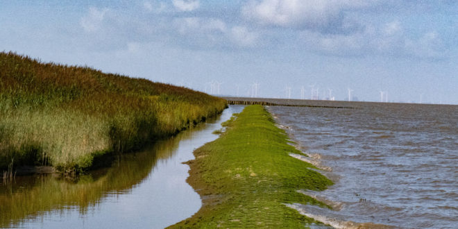L'estuaire de l'Ems près de Ditzum
