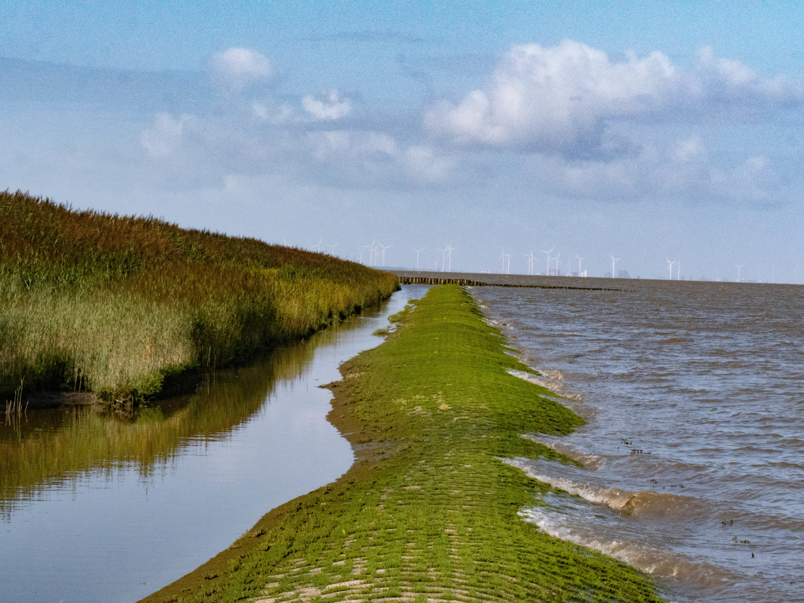L'estuaire de l'Ems près de Ditzum