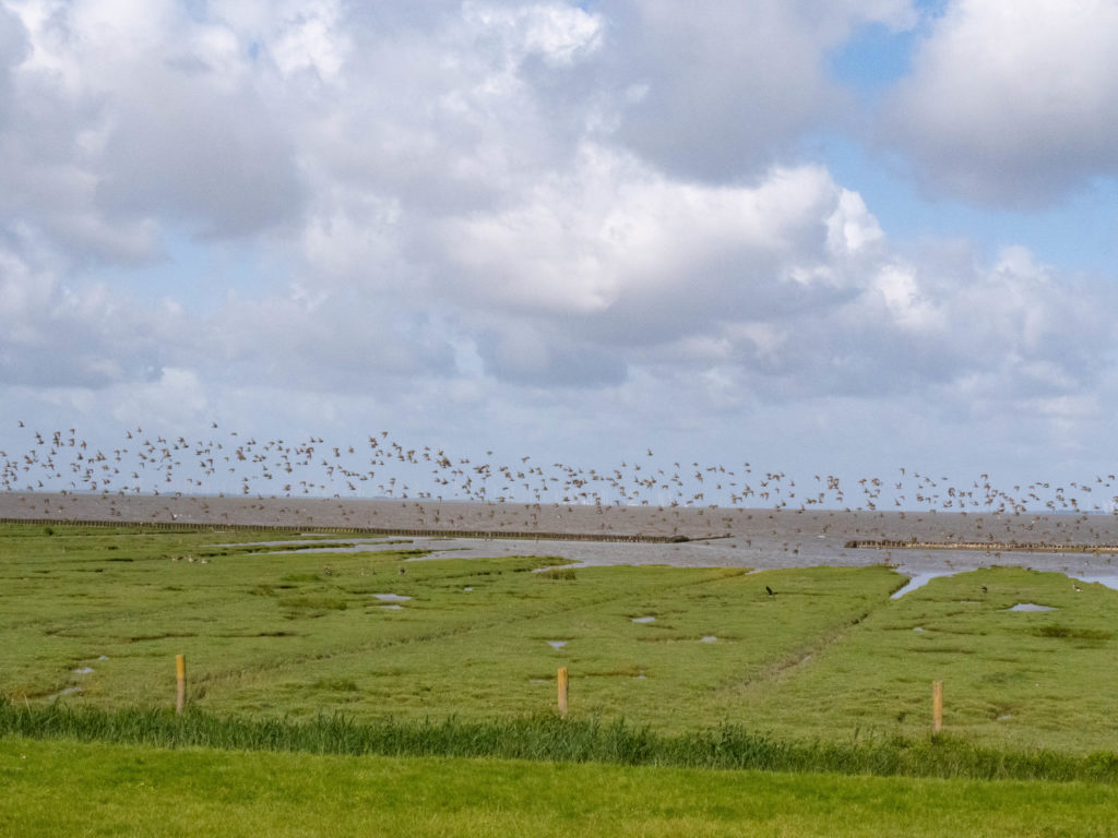 Baie de Jade près de Wilhelmshaven