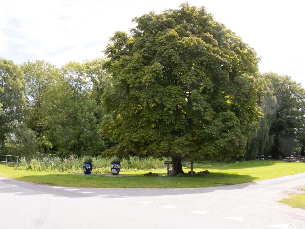 Ørslev