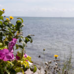 Presqu'ile de Glænø