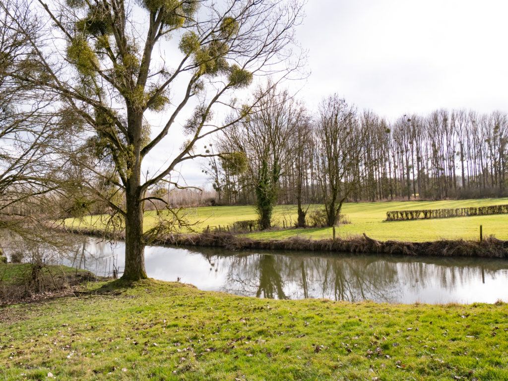 Campagne autour de Maroilles