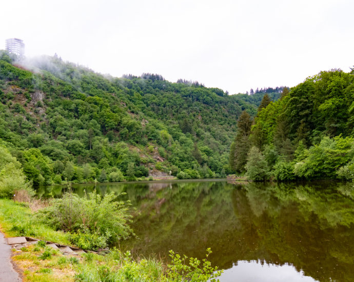 Boucles de la Sarre